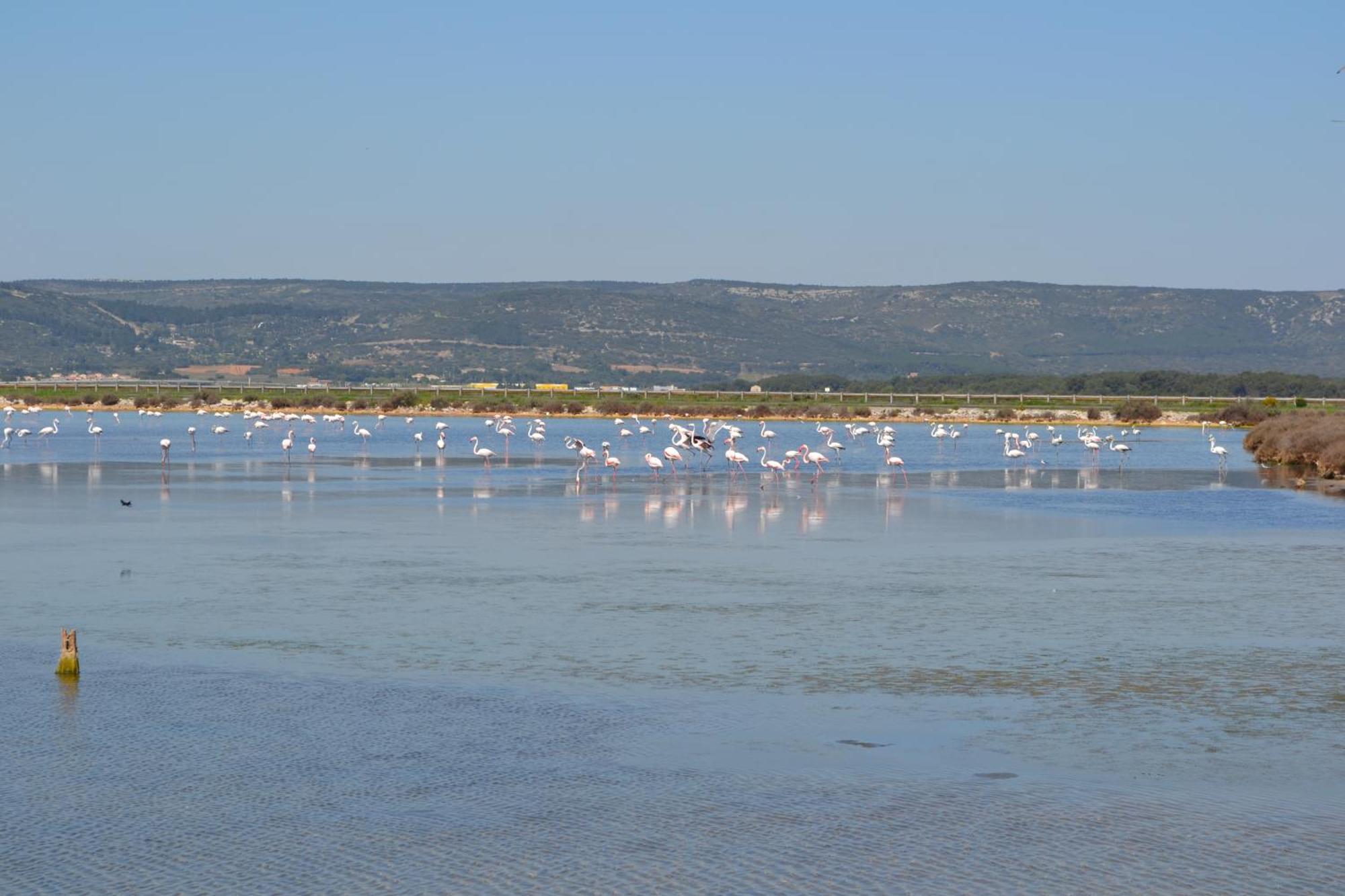 Апартаменти L'Aigrette Bleue Фронтіньян Екстер'єр фото